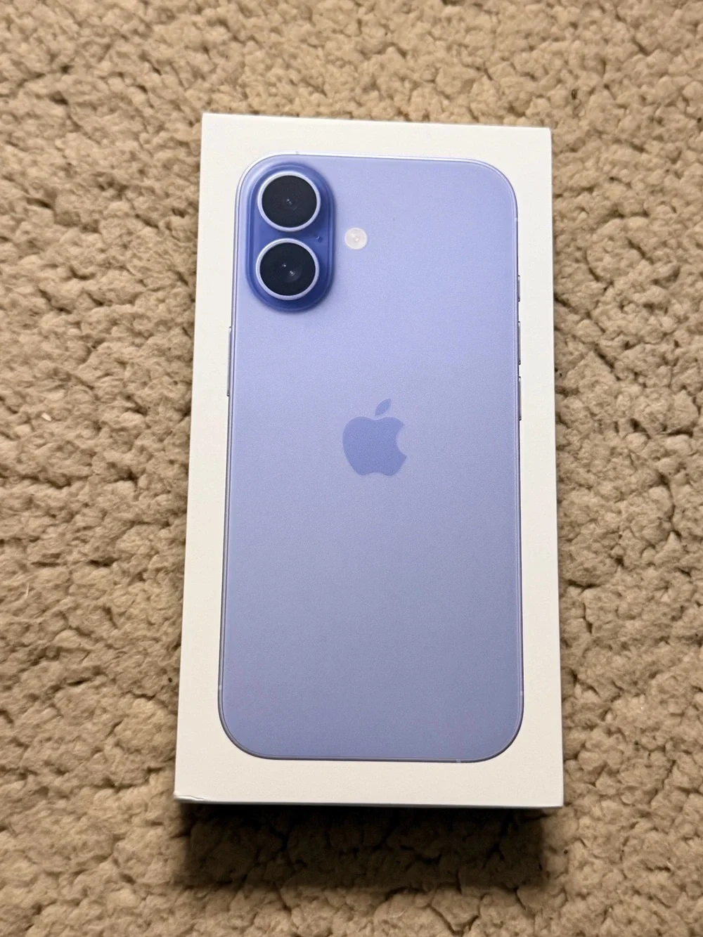 ✨New Sealed Apple iPhone 17 Mist Blue Verizon✨